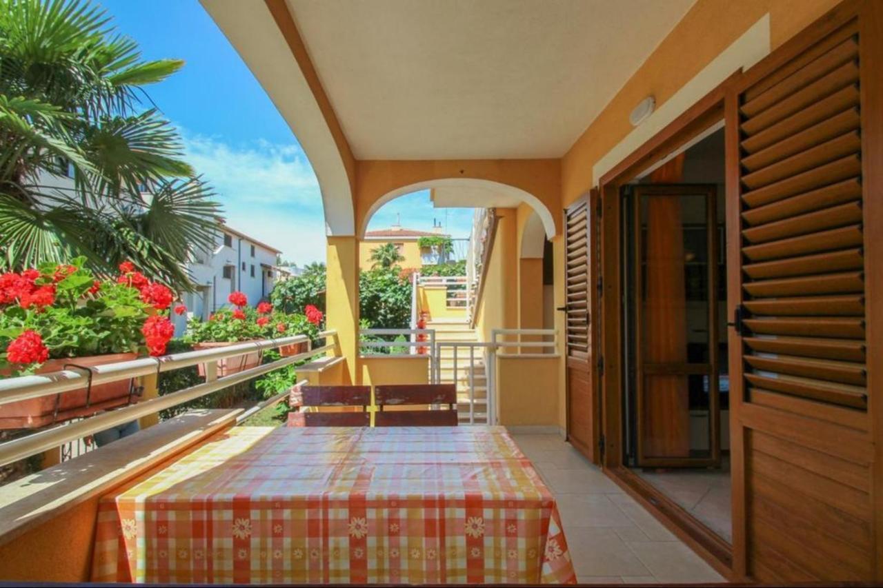 House Alenka Novigrad Close The Beach And Center *